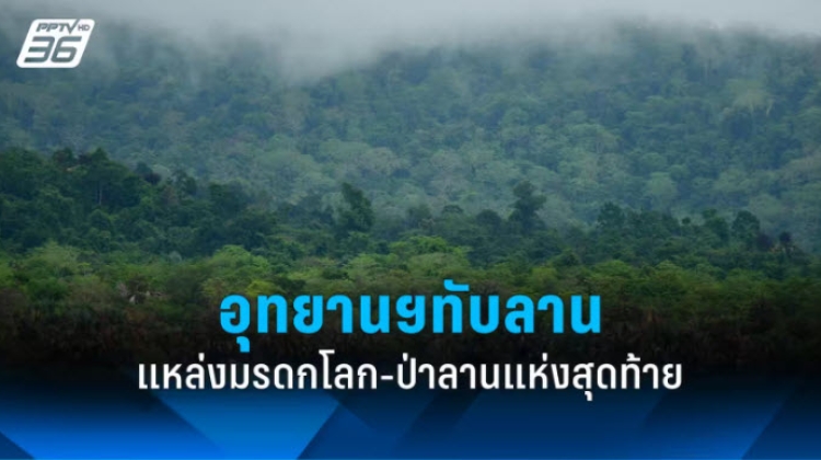 อุทยานฯ ทับลาน แหล่งมรดกโลก-ป่าลานแห่งสุดท้ายของไทย